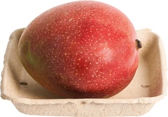 -Mango Ataulfo BIO 22x1 stuks