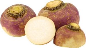 Koolraap BIO 5x1 kg.