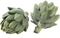 Artisjokken BIO 25x1 stuks