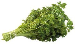 Bosje krulpeterselie Demeter 10x1 stuks