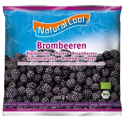 Bramen BIO 10x300 gr.