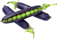 Kapucijners BIO 2x1 kg.