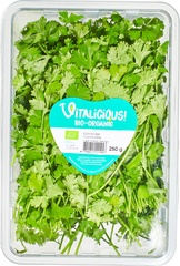 Koriander BIO 2x250 gr.