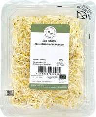 Gemengde kiemen BIO 1x50 gr.
