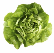 Kropsla BIO 3x1 stuks