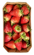 Aardbeien BIO 4x400 gr.