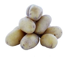 Aardappel Bio Baby BIO 5x1 kg.