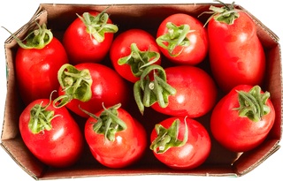 Tomaat Mini San Marzano BIO 3x1 kg.