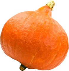 Oranje pompoen Demeter 14x1 kg.