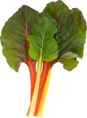 Snijbiet Bright Light BIO 4x1 kg.