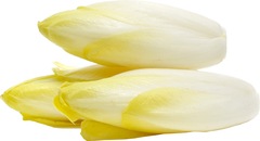 Witlof Demeter 2x1 kg.
