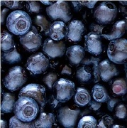 DV Blauwe bessen 10 kg.