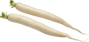 Rettich wit Demeter 12x1 stuks