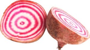 Bieten Chioggia Demeter 5x1 kg.