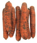Winterpeen BIO 10x1 kg.