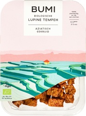 Tempeh Aziatisch BIO 1x175 gr.
