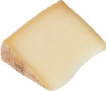 Manchego DOP BIO 1x170 gr.
