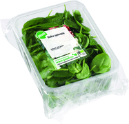 Baby spinazie BIO 1x100 gr.