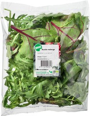 Rucola melange BIO 1x75 gr.