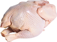 Soepkip VERS BIO p/kg.