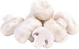Witte champignons BIO 3x1 kg.
