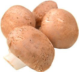 Kastanje champignons BIO 3x1 kg.