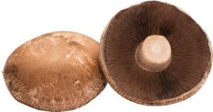 Portobello BIO 1x1 kg.
