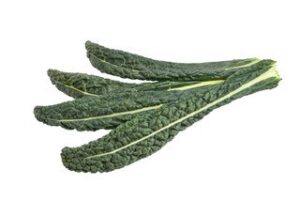 Cavolo Nero BIO 4x1 kg.
