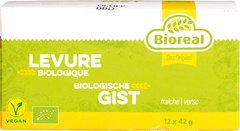 Verse gist BIO 12x42 gr.