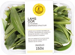 Bleekselderij BIO 10x1 stuks