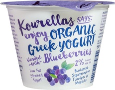 Yoghurt Grieks blauwe bes BIO 1x150 gr.