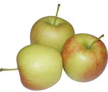 -Delcorf/Delbare appel BIO 11x1 kg.