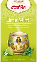 Lime mint BIO 6x17 builtjes