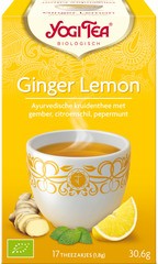 Ginger-lemon tea BIO 6x17 builtjes