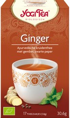 Ginger BIO 6x17 builtjes