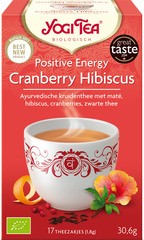 Kruidenthee positive energy BIO 6x17 bui