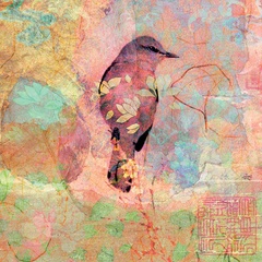 Rode vogel  5x1 stuks