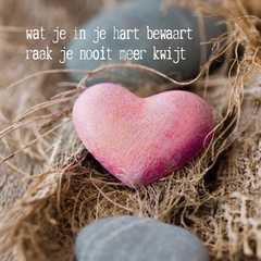 Roze hartje 5x1 stuks