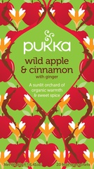 Wild apple + cinnamon BIO 4x20 builtjes
