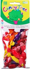 Zuurtjes Fruitmix BIO 12x100 gr.