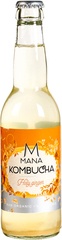 Kombucha Holy ginger BIO 12x330 ml.