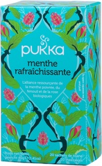 Mint refresh BIO 4x20 builtjes