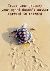 Trust your journey 10x1 stuks