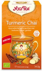 Turmeric chai BIO 6x17 builtjes