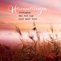 Herinneringen  5x1 stuks