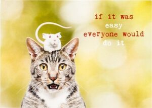 If it was easy  10x1 stuks