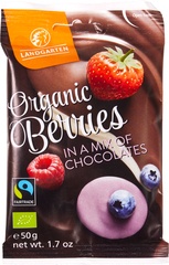 Fruitmix in chocolate BIO 10x50 gr.