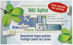 Kauwgom icemint 24x15 gr.