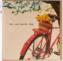 Fiets met bloemenmand 5x1 stuks