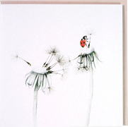 Lieveheersbeestje  5x1 stuks